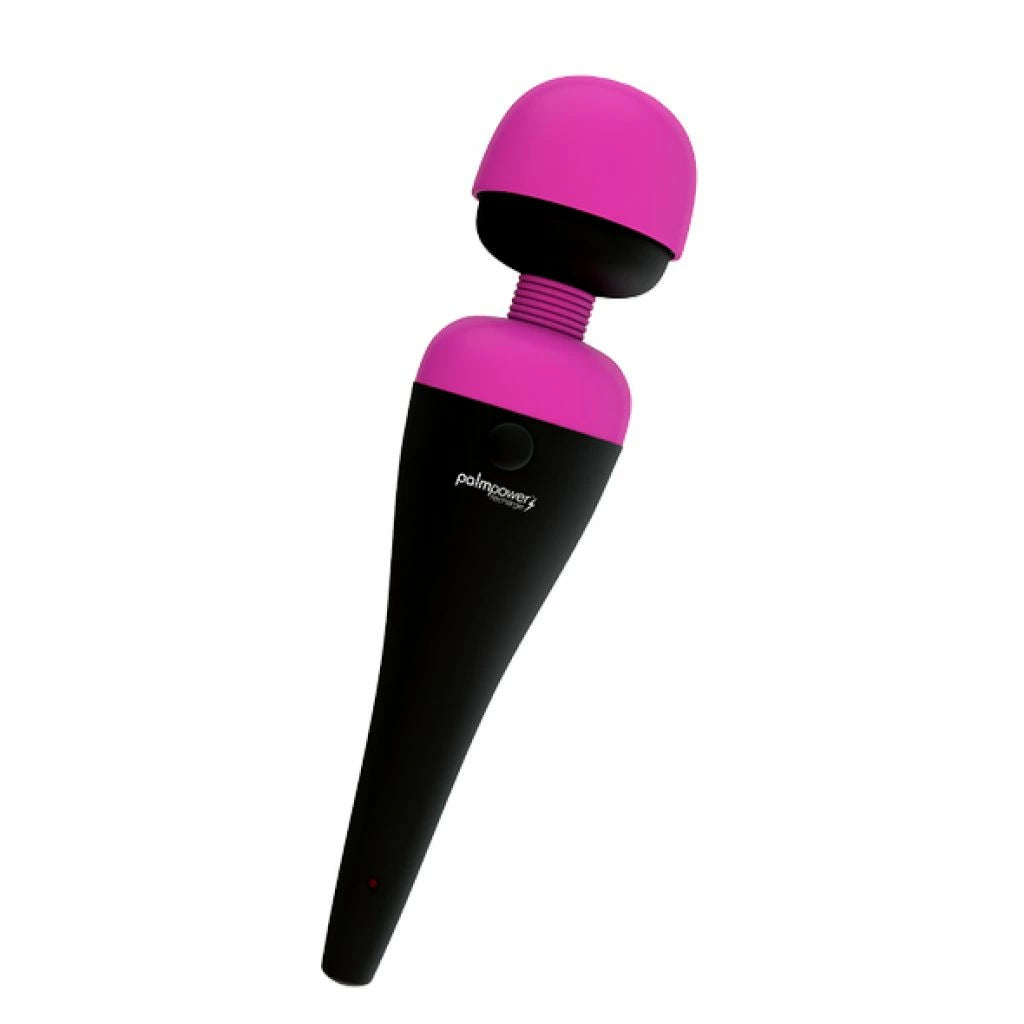 PalmPower - Recharge Wand Massager