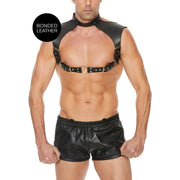 Men's Harness with Collar - One Size