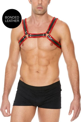 Leather Bulldog Harness with Buckles - L/XL