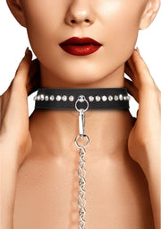 Diamond Studded Collar with Leash