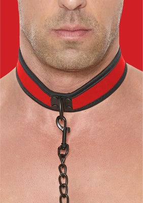 Neoprene Collar with Leash